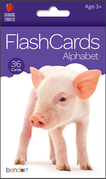 Alphabet [36-Count Flash Cards, Bendon®, ©2017] (Ages 3+)